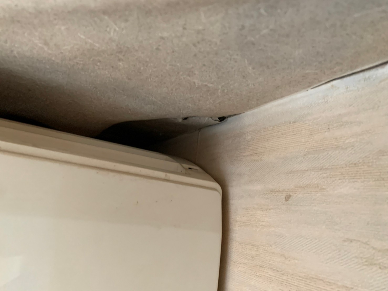 雨漏りして浮いた天井クロス